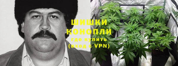 меф Арсеньев