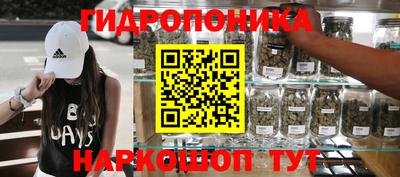 spice Гудермес