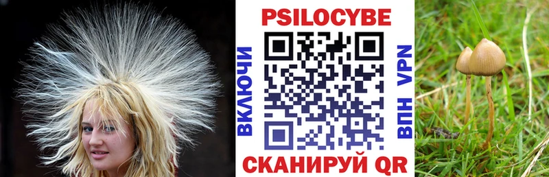 Галлюциногенные грибы мухоморы  Дюртюли 